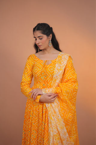 Aarohi Cotton Anarkali Set