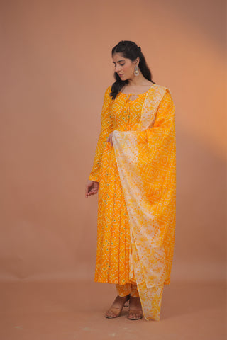 Aarohi Cotton Anarkali Set