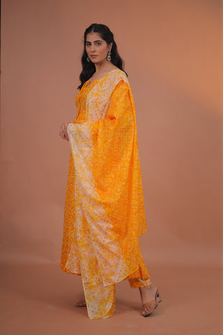 Aarohi Cotton Anarkali Set