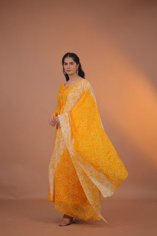 Aarohi Cotton Anarkali Set